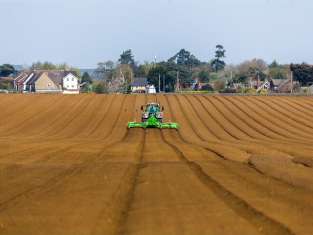 Ударная посевная кампания: в РФ ожидают повышенный урожай вопреки непогоде