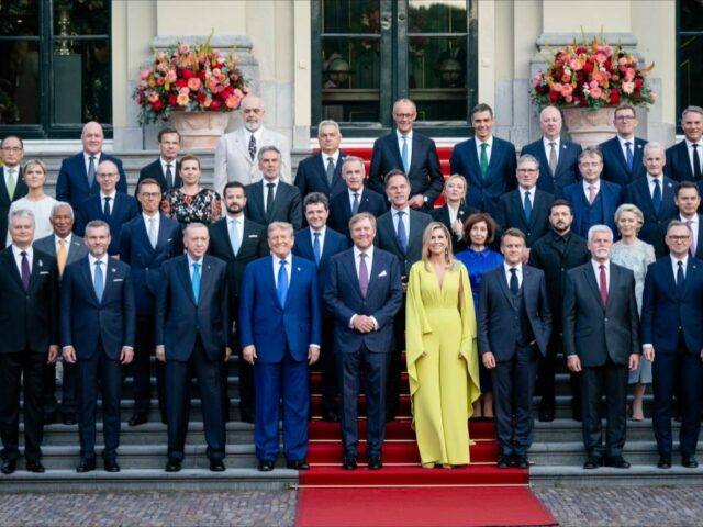 Безумие в НАТО: СМИ раскрыли подготовку Европы к выводу войск США 