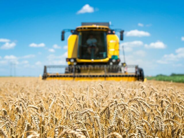 Угодья идут с молотка: в Ленобласти продадут крупное агропредприятие