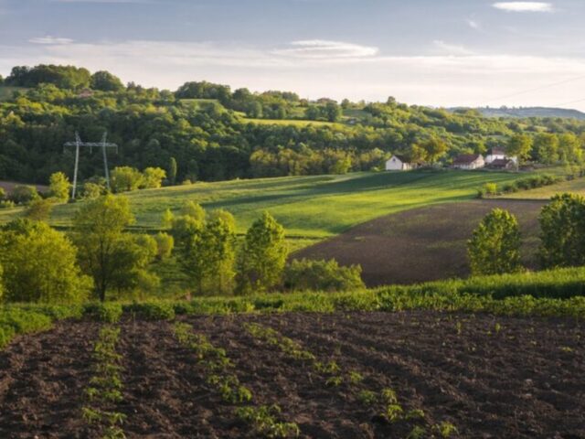 Ферма рабов: в России вышли на след трудовой тюрьмы с сотней заключённых