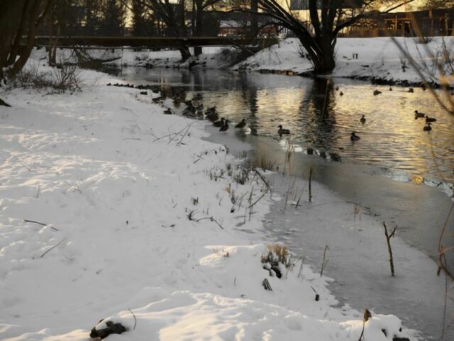 Петербург затопили реагентами: властям предложили комплексное решение