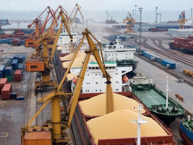 «Абсолютный рекорд»: раскрыли объемы экспорта зерна с Северо-Запада РФ