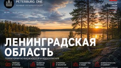 В Ленобласти открыли приём заявок на субсидии для российских кинематографистов