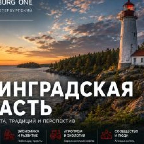 Средневековый коллапс: Выборг «захлебнулся» от наплыва туристов